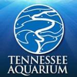 Tennessee Aquarium Voucher