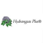 Hydrangeas Plus Coupon codes