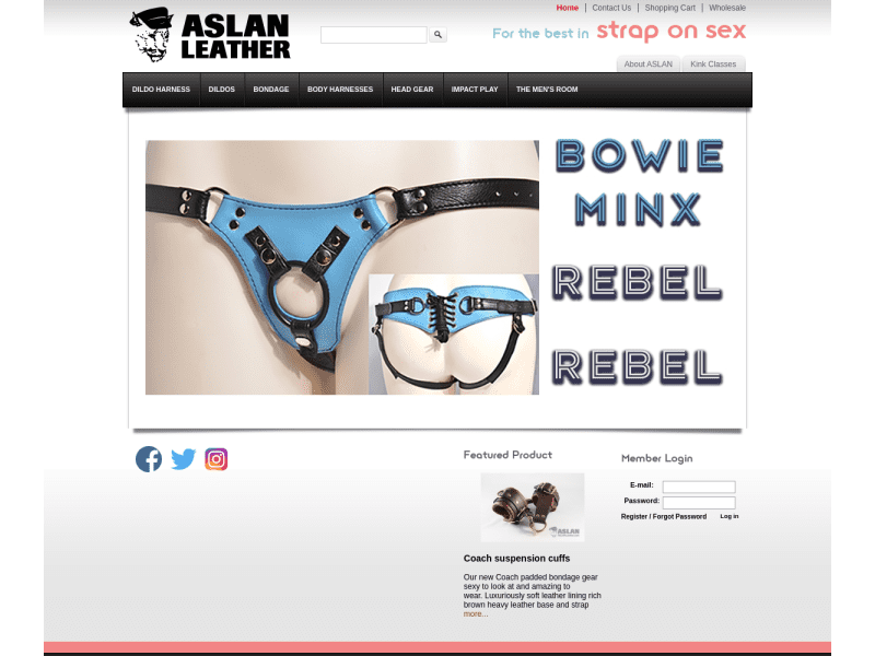 Aslan Leather Coupon codes